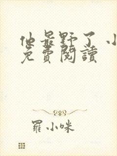 他最野了 小说免费阅读