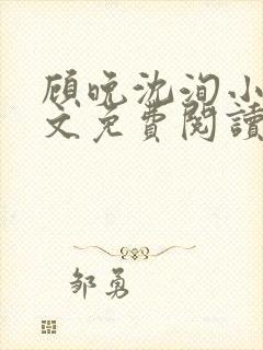 顾晚沈洵小说全文免费阅读