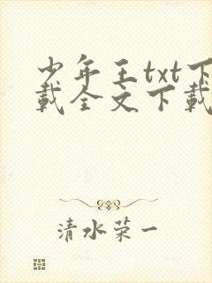 少年王txt下载全文下载