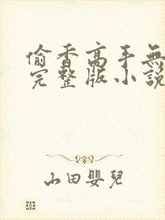 偷香高手无删减完整版小说