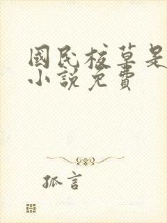 国民校草是女生小说免费封面