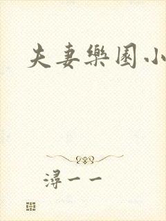 夫妻乐园小说