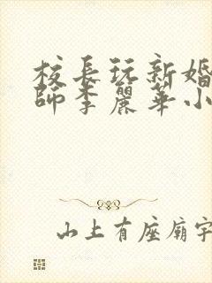 校长玩新婚女教师李丽华小说封面