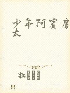 少年阿宾房东太太