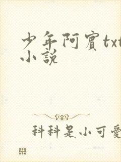 少年阿宾txt小说封面