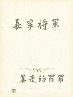 长宁将军