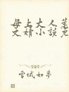 母上大人叶亦苏文婧小说免费阅读