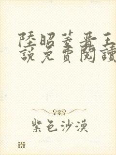 陆昭菱晋王的小说免费阅读