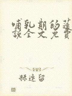哺乳期的莲儿小说全文免费阅读