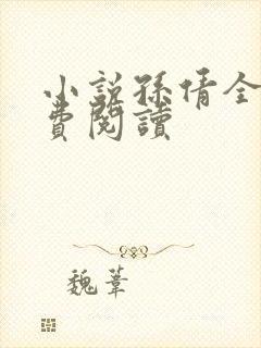 小说孙倩全文免费阅读封面