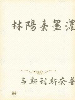 林阳秦墨浓度封面