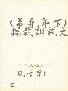 (弟哥,年下)总裁训诫文安文