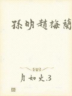 孙明赵梅兰封面