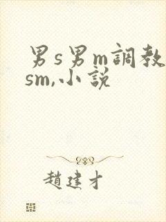 男s男m调教(sm,小说
