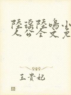 陆瑶陆鸣小说主人公全文免费阅读笔趣阁