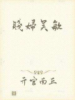 贱妇吴敏封面