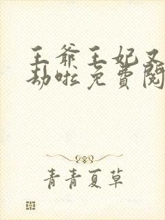 王爷王妃又去打劫啦免费阅读
