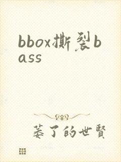 bbox撕裂bass