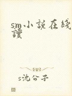 sm小说在线阅读