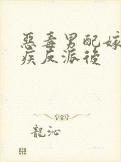 恶毒男配嫁给残疾反派后