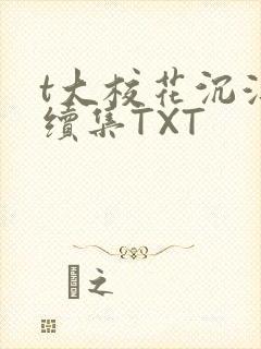 t大校花沉浮录续集TXT封面