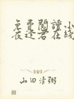免费阅读小说此夜逢君在线阅读全文
