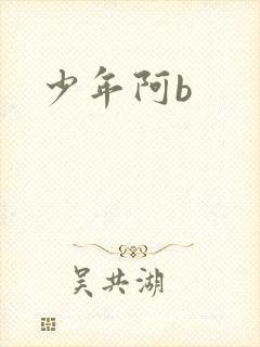 少年阿b