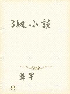 3级小说