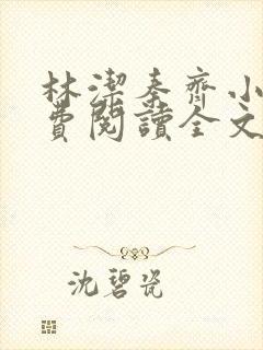 林洁秦齐小说免费阅读全文