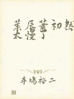 叶辰萧初然更新太慢了封面