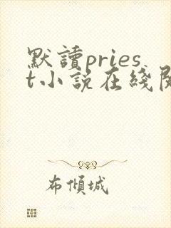 默读priest小说在线阅读全文免费
