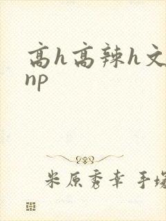 高h高辣h文乱np