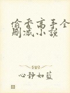 偷香高手全文无删减小说
