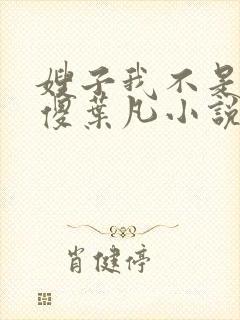 嫂子我不是真的傻叶凡小说免费阅读