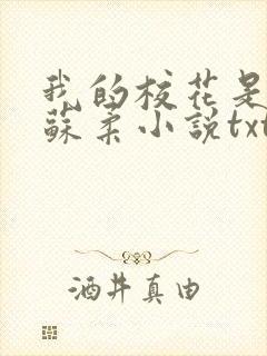 我的校花是福姬苏柔小说txt封面