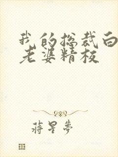 我的总裁白富美老婆精校
