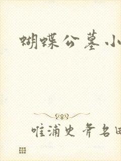蝴蝶公墓小说