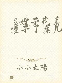 《嫂子我真不是傻子了叶凡》封面