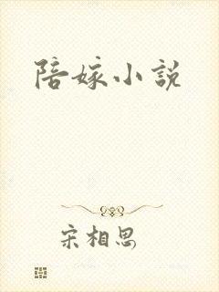 陪嫁小说封面