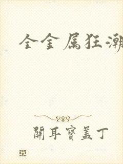 全金属狂潮小说