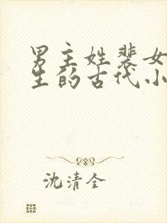 男主姓裴女主重生的古代小说