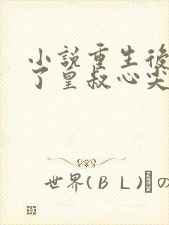 小说重生后我成了皇叔心尖宠