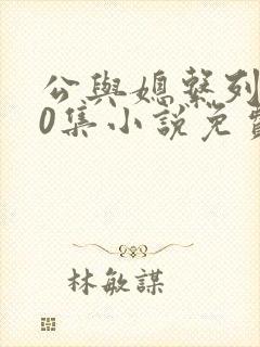 公与媳系列100集小说免费阅读
