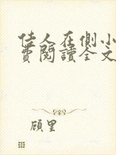 佳人在侧小说免费阅读全文无弹窗