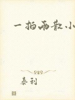 一拍两散小说