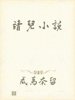 靖儿小说