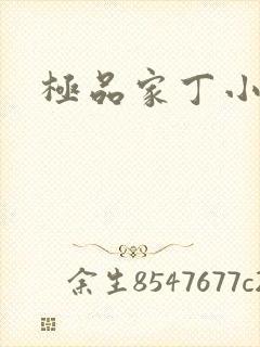 极品家丁小说