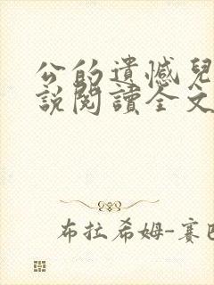 公的遗憾儿媳小说阅读全文封面