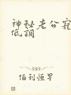 神秘老公宠妻请低调