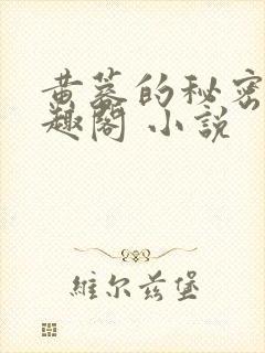 黄蓉的秘密 笔趣阁 小说